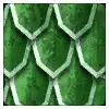 Ancient Dragonskin